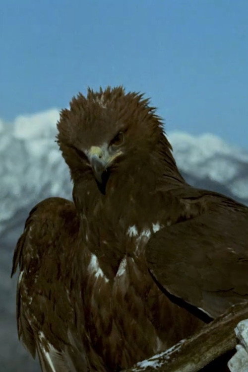 World of the Mountains Poster