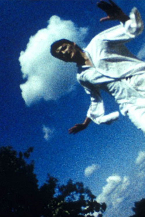 Falling. Desert. Syn Poster