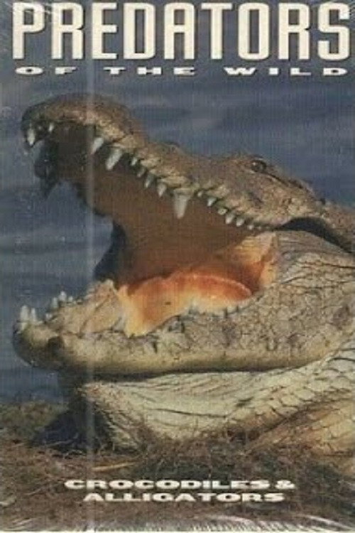 Predators of the Wild: Crocodiles and Alligators Poster