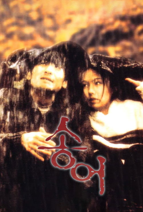 Rainbow Trout Poster