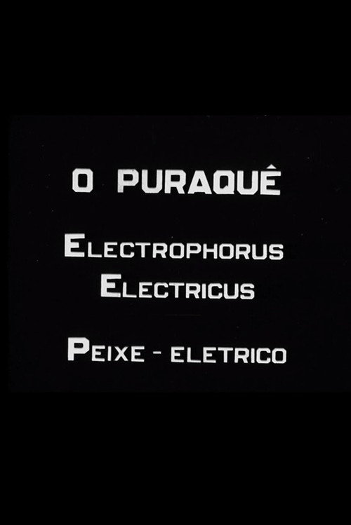 O Puraquê Poster