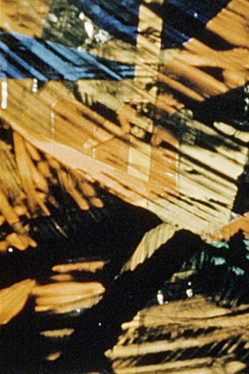 Buffalo Bill in 27 Forms Poster