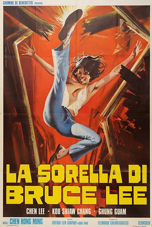 Chiu Chow Kung Fu Poster