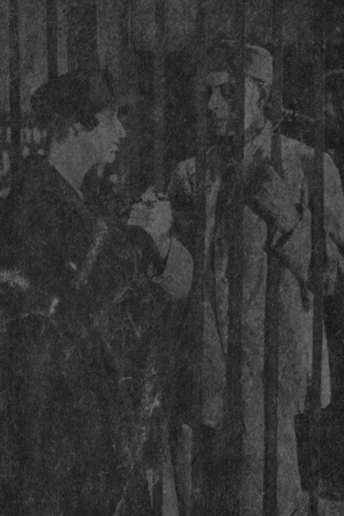 The Backdrop Of Happiness Poster