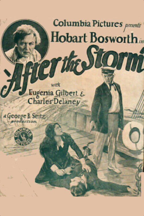 After the Storm Poster