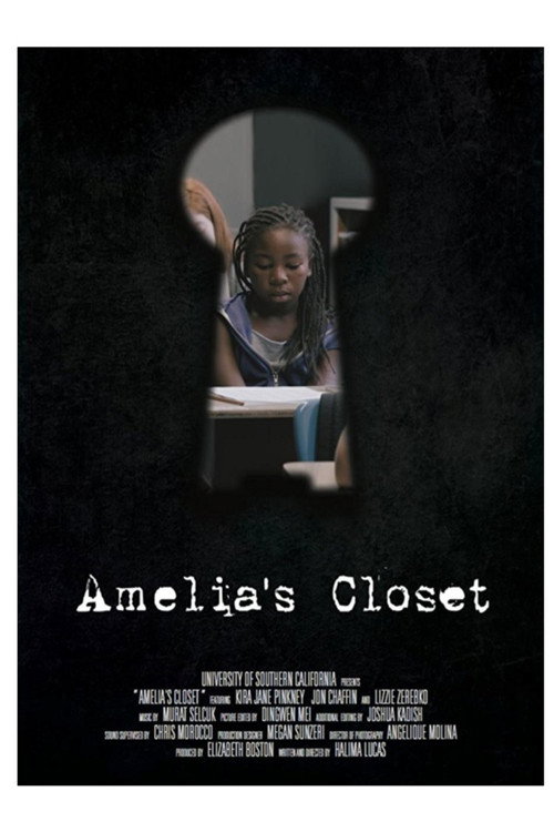 Amelia's Closet Poster