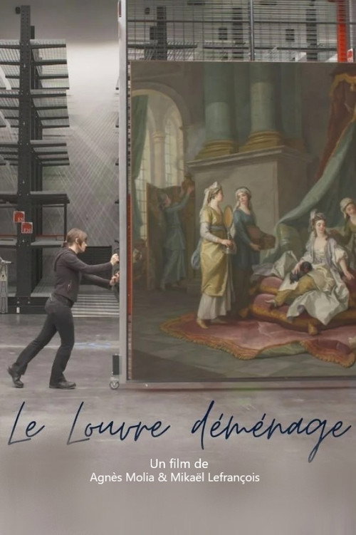 Le Louvre déménage Poster