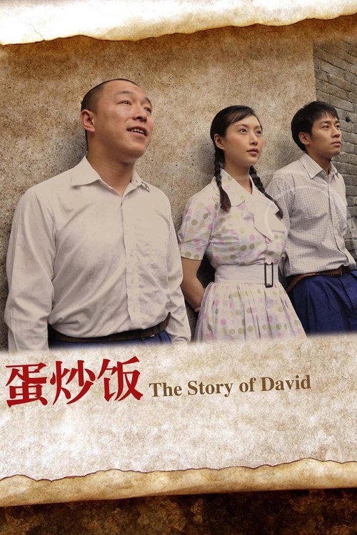 The Story of David Poster
