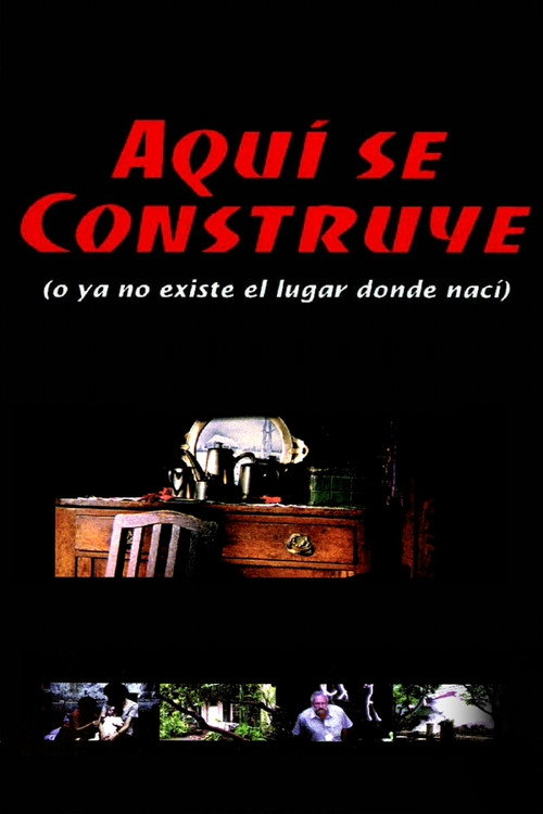 Under Construction (Or The Place Where I Was Born No Longer Exists) Poster