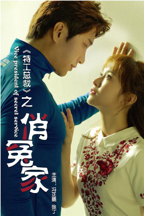 Perfect Match: Vice President of Secret Service Poster