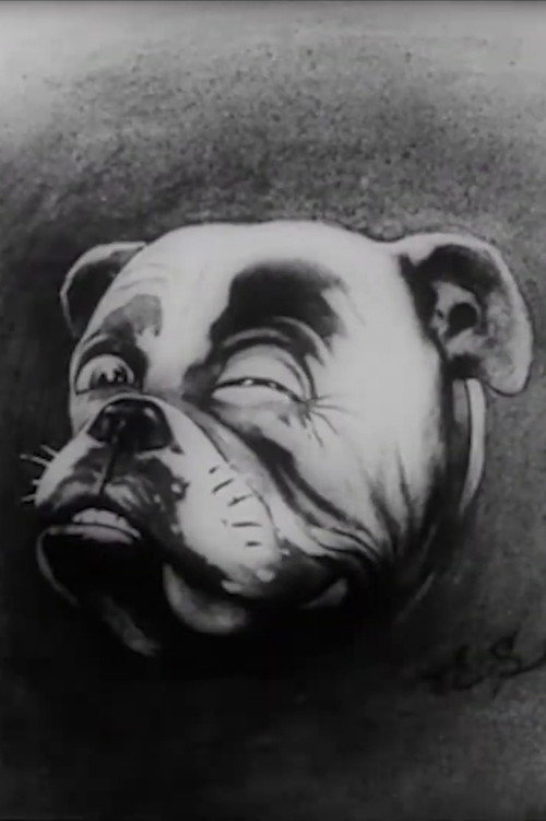 Studdy's War Cartoons Poster