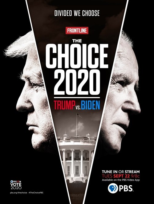 The Choice 2020: Trump vs. Biden Poster
