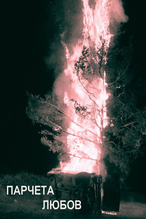 Pieces of love Poster