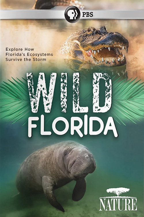 Wild Florida Poster