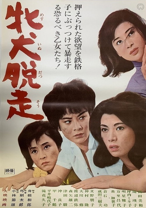 牝犬脱走 Poster