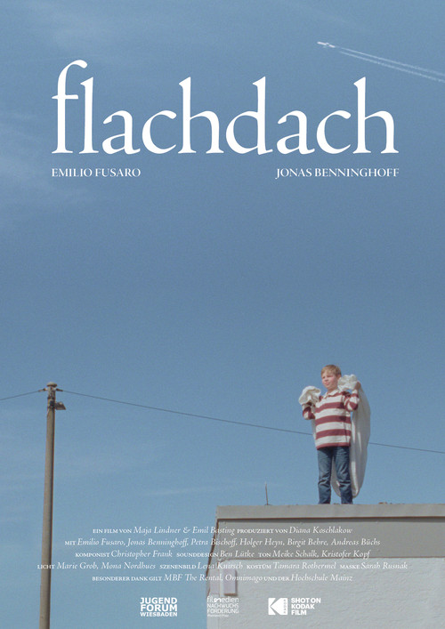 Flachdach Poster