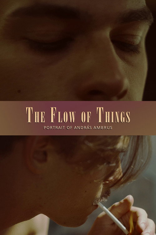 The Flow of Things Poster