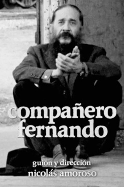 Compañero Fernando Poster