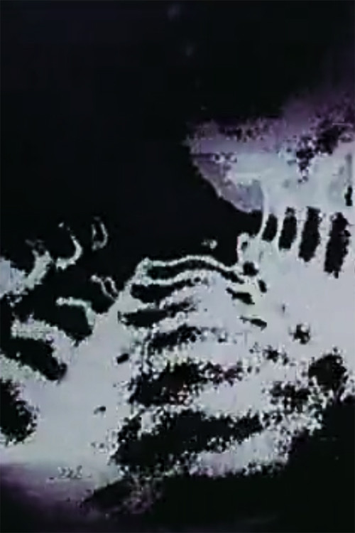 The Leap Poster