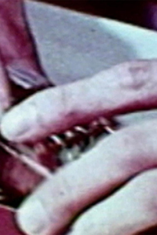 The Hundred Videos #5 Poster