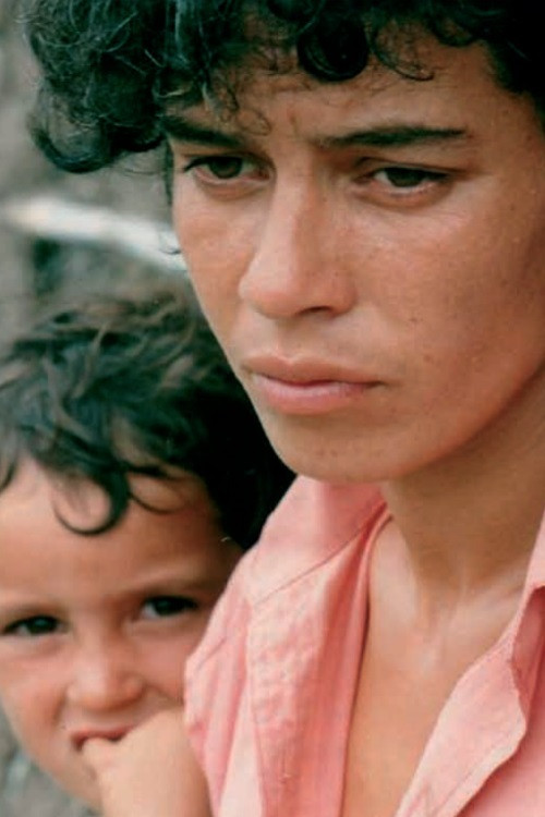 For the Hundredth Time Poster