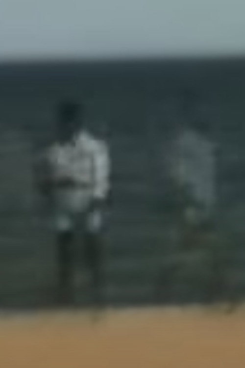 These Are Not My Images (neither there nor here) Poster