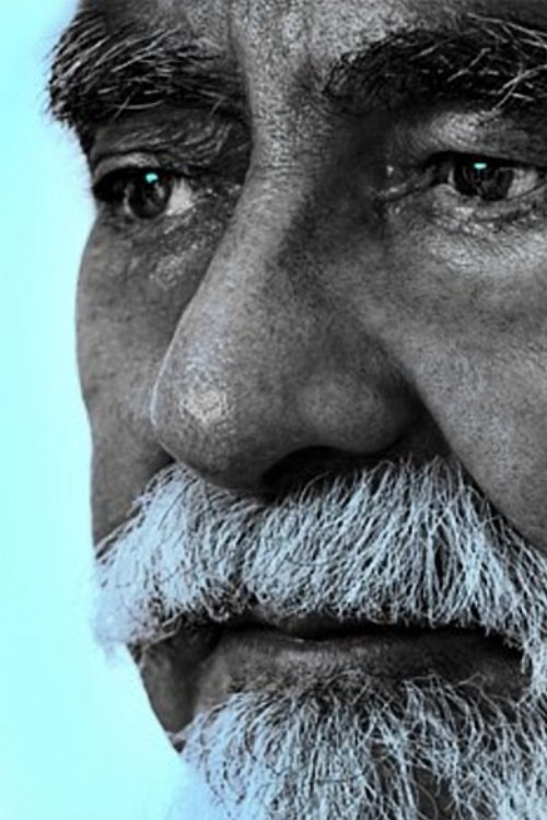 Expropriation Poster