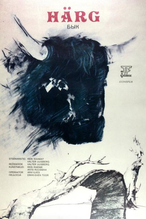 Bull Poster