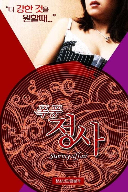 Stormy Affair Poster