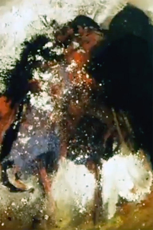 Trois portraits d'un oiseau qui n'existe pas Poster