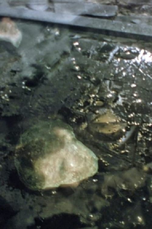 Faces of Death Poster