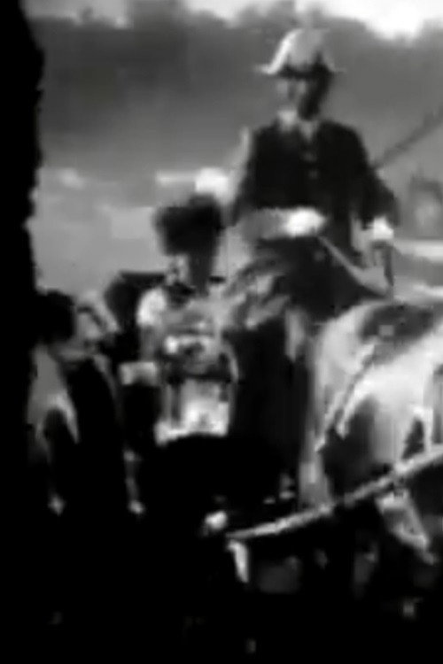 Races at Banjica Poster