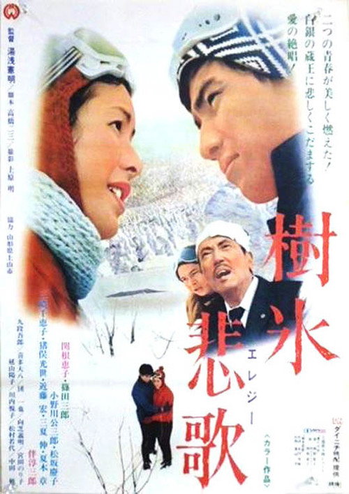 Snow Country Elegy Poster