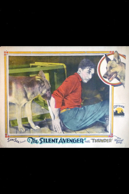 The Silent Avenger Poster