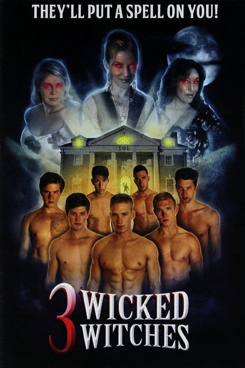 3 Wicked Witches Poster