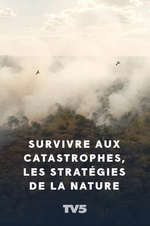 Survivre aux catastrophes, les stratégies de la nature Poster