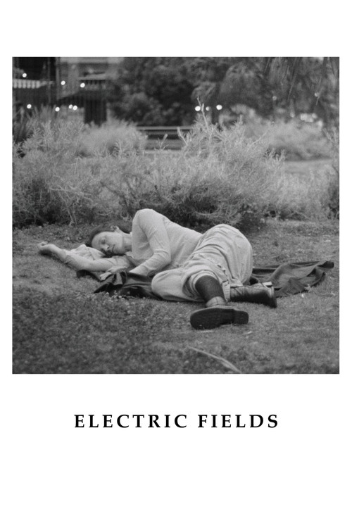 Electric Fields Poster