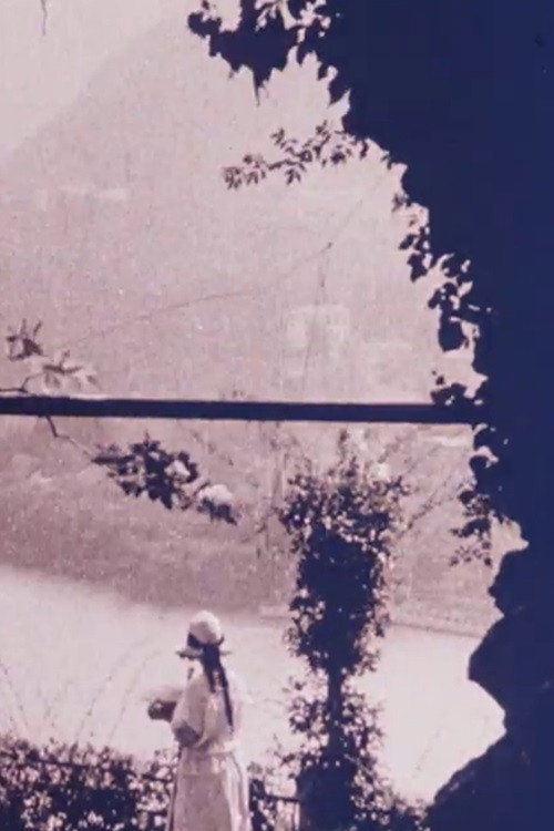 Italian Landscapes and Cities Poster