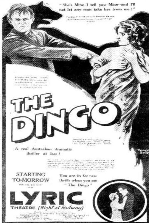 The Dingo Poster
