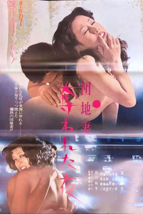 Apartment Wife: Night of the Rape Poster