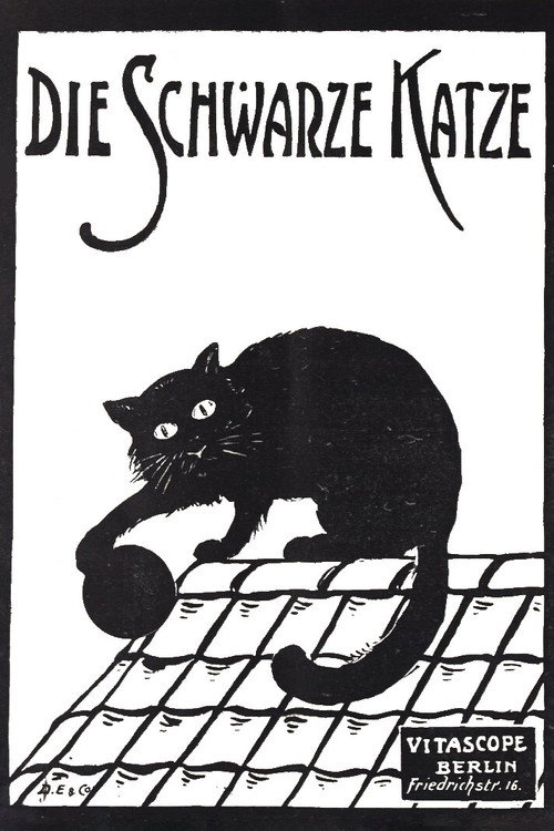 Die schwarze Katze 1. Teil Poster