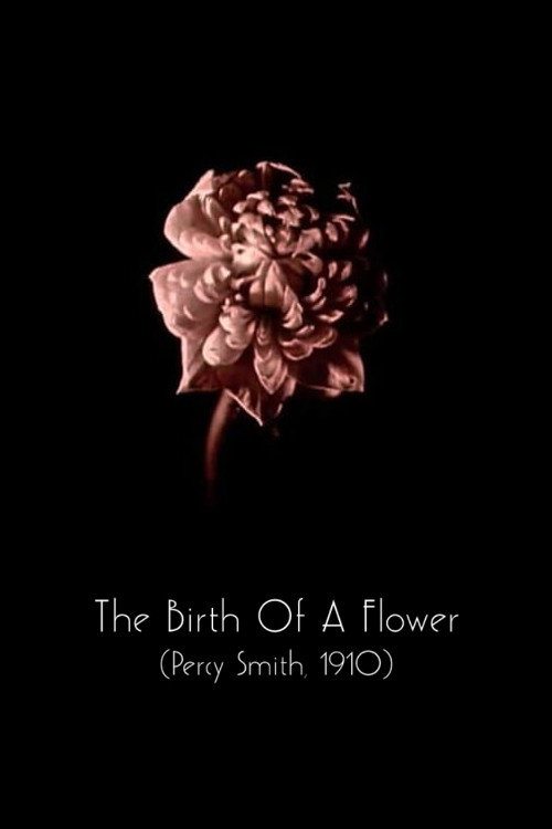 The Birth of a Flower Poster