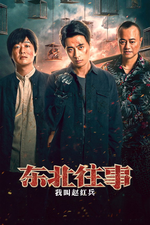 东北往事之我叫赵红兵 Poster