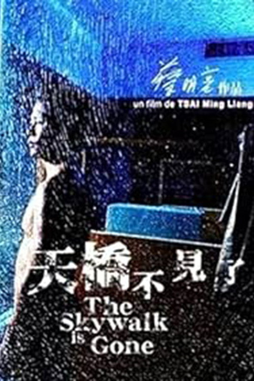The Skywalk Is Gone Poster
