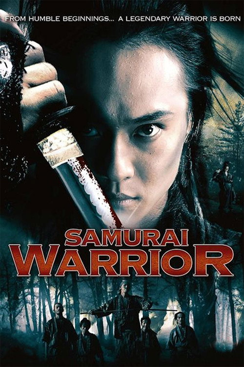 Samurai Warrior Poster