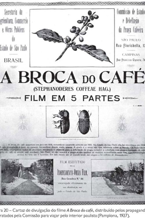 A Broca do Café Poster