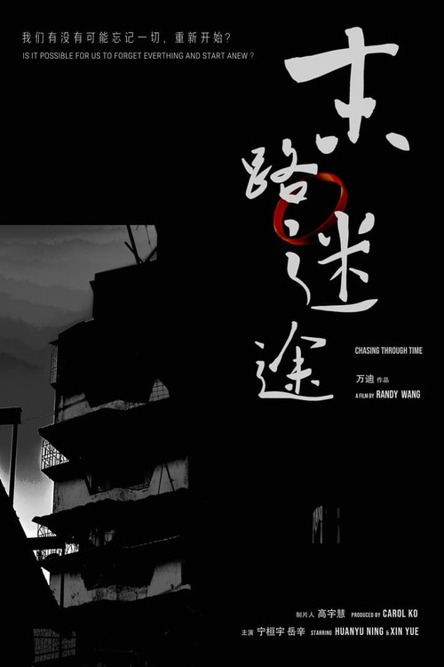 Chasing Through Time Poster