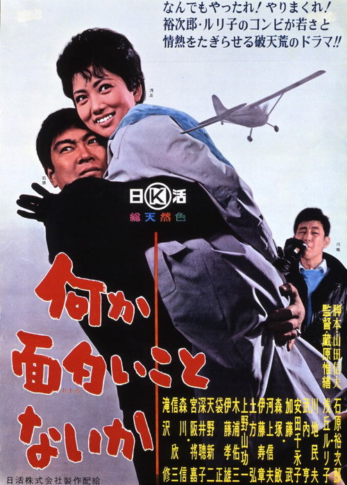 I Fly for Kicks Poster