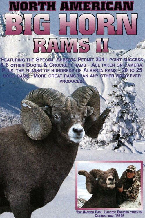 Bighorn Rams 2 Poster