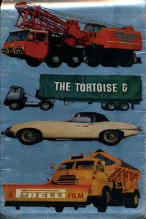 The Tortoise and the Hare Poster